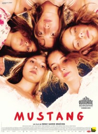 Mustang poster